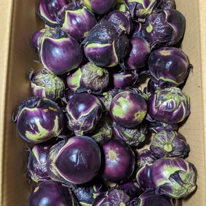 薄皮丸ナス2箱梱包