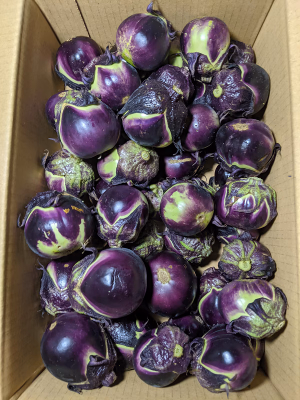 薄皮丸ナス2箱梱包