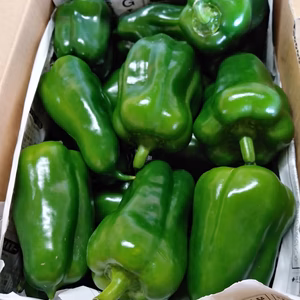 宮古島産　ピーマンたっぷり＆なす＆パプリカ