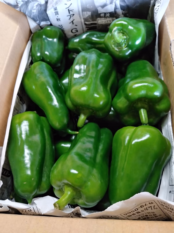 宮古島産　ピーマンたっぷり＆なす＆パプリカ