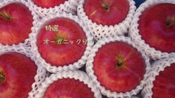 【特選】オーガニックりんご　サンふじ6玉入り（有機JAS認証）