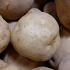 自然栽培 ( 無除草剤! 無肥料! 無農薬! )　男爵じゃがいも