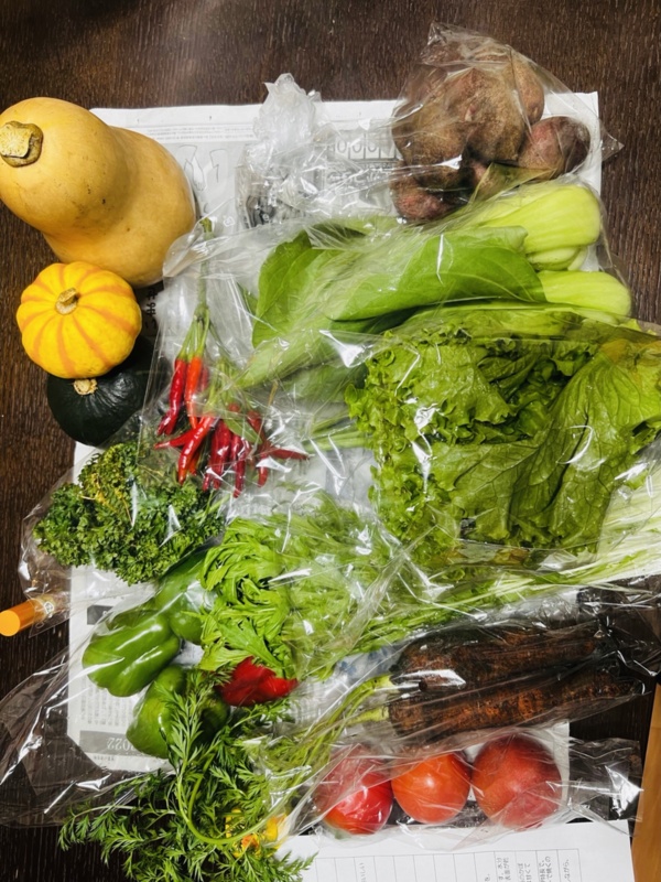 ゆめみる農園 森 京一さんへのみんなの投稿 農家漁師から産地直送の通販 ポケットマルシェ