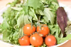 【野菜ソムリエ厳選！】そのままサラダ（お試しミニトマト付き）