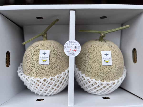 【夏ギフト】プレミアムメロン”ひこぼし物語”（２個入りセット）