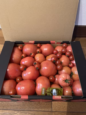 みんなの投稿の画像