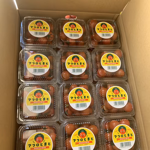 伊豆の国市産 アフロとまと ロゼ