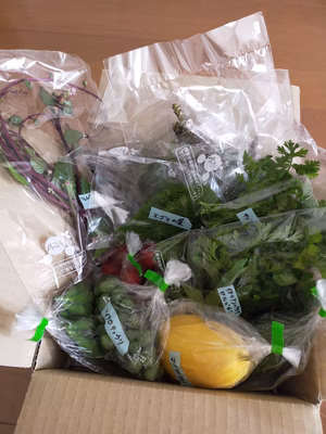 みんなの投稿の画像