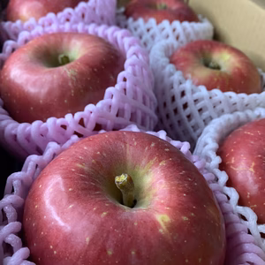 贈り物ピッタリ！贈答用　信州完熟りんご　