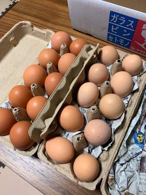 みんなの投稿の画像