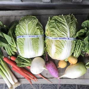 京の冬野菜セット 10品目【漢方栽培】