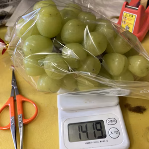 ちょっと訳あり超ビッグ！雄宝1.4キロ房　シャインの子ども！