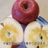訳アリ◆全玉蜜入り◆ふじりんご＆ジュース(5kg箱)