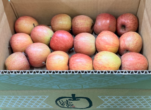 「毎日りんご!!極小玉20個以上!!　サンふじ バラ詰め 約2.7Kg 青森県産