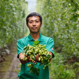 吉田敦史