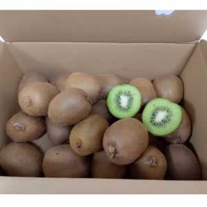 送料割引中　和歌山県産　キウイフルーツ【大】