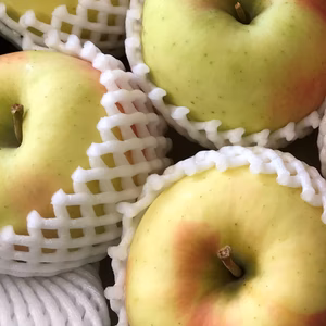 青森県産りんご「ぐんま名月」贈答用　光センサー選果