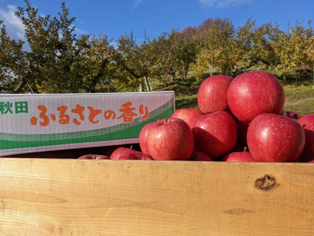 【王林】子どもに人気の青りんご 農薬60％減 
