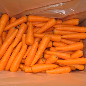 【収穫終了しました！】訳あり　チビニンジン（無無）　箱込10kg