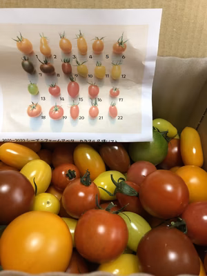 みんなの投稿の画像