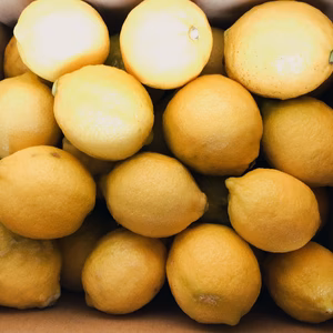 【農薬不使用】小豆島産訳ありミニレモン2kg