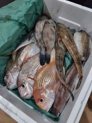 みんなの投稿の画像