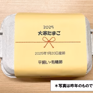 【ご予約品・数量限定】1年に１度の縁起物・大寒卵　八ヶ岳・平飼い・有精卵