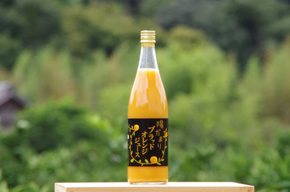 三ヶ日産ブラッドオレンジジュース 100％ストレートタロッコ種 720ml