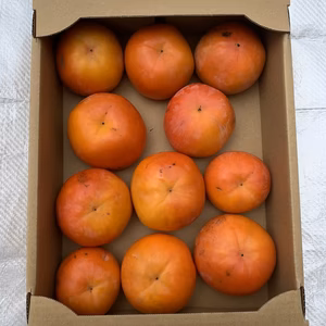 ワイワイ食べましょう！和歌山晩秋の味覚、富有柿　家庭用