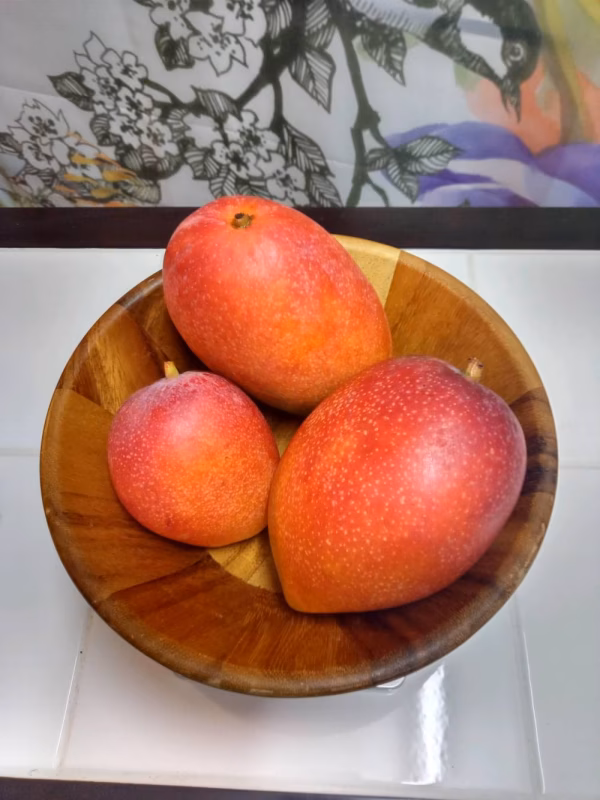 まるよしマンゴー農園