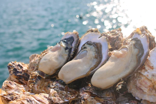 牡蠣バカが作る米崎牡蠣(生食用)食べ頃サイズ25個(小サイズ)
