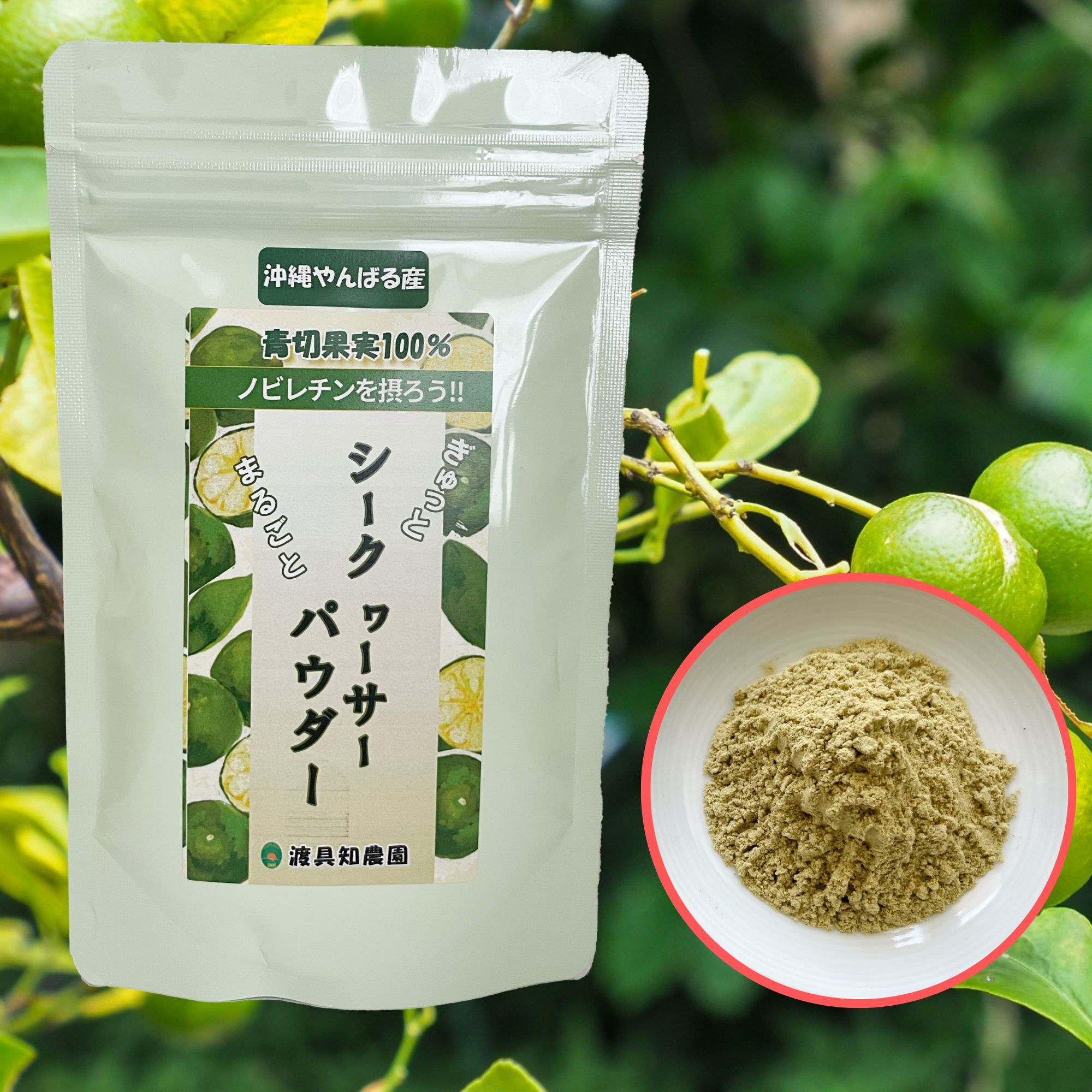 ⑤完全無農薬 シークヮーサー 果実 自然栽培 約1kg（箱込） 40個