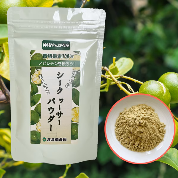【送料込】シークワーサーの粉末｜沖縄産（無農薬）