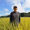 令和7年度産＊豊コシヒカリ＊坂本農園