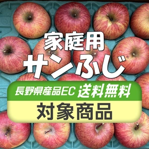 【送料無料】家庭用 サンふじ 5kg箱～ 信州りんご 