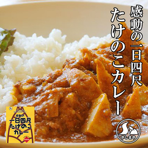 感動の一日四尺たけのこカレー　3袋セット