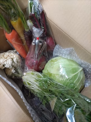 みんなの投稿の画像