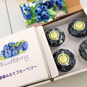 なくなり次第終了！完熟生果実ブルーベリー☆静岡県磐田市産