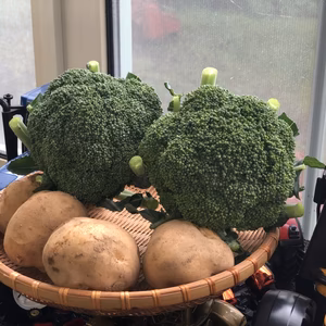 《北海道産》採れたて！ブロッコリー3個&じゃがいも1.5kgセット