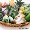 【定期便】【沖縄からお届け】売るマルシェ生産者協議会の農産物セット