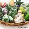 【定期便】【沖縄からお届け】売るマルシェ生産者協議会の農産物セット