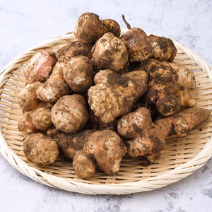 【お得な土付き】キクイモ【食べ頃サイズを選別】菊芋　1kgと2kg