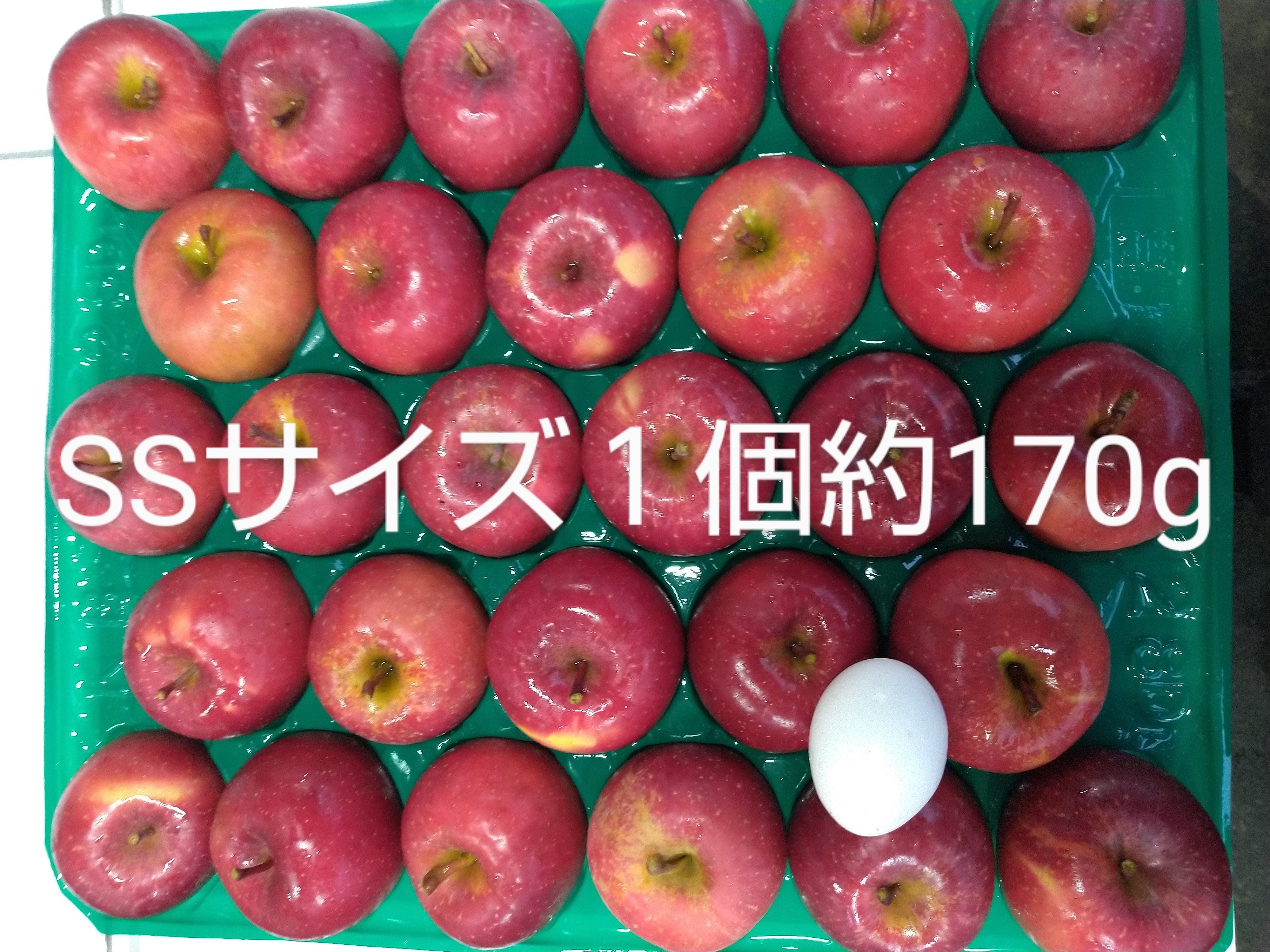 青森県産 すもも 紅香のしずく5kg