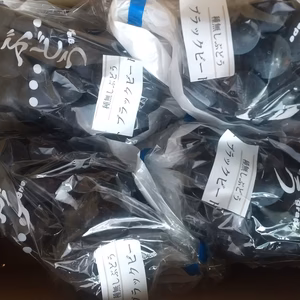 ご家庭用（訳あり品）ブラックビート１ｋｇ以上入り３～５房