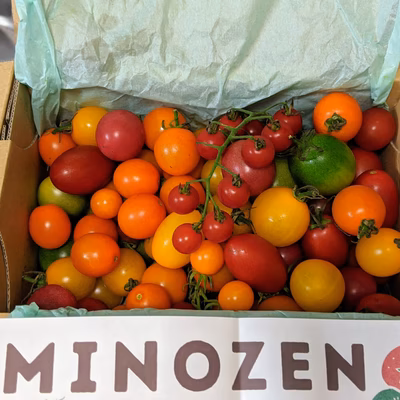 みんなの投稿の画像