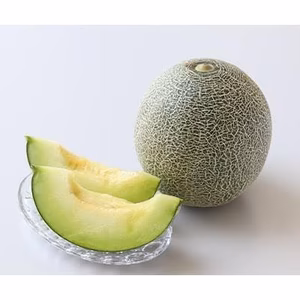 もうじき発送‼︎♪美味しくて甘い〜メロン(タカミ)