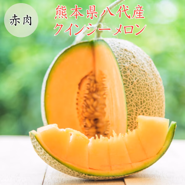 熊本県産　赤肉メロン　クインシーメロン　２玉　５Ｌサイズ　５玉　３Ｌサイズ