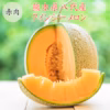 熊本県産　赤肉メロン　クインシーメロン　２玉　５Ｌサイズ　５玉　３Ｌサイズ