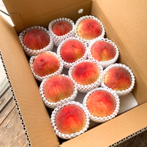 白鳳3キロ　【7月発送】新鮮もぎたて山梨の桃