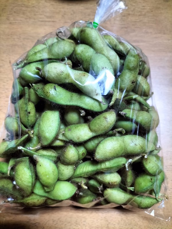 太陽の恵みが詰まった丹波黒枝豆✨